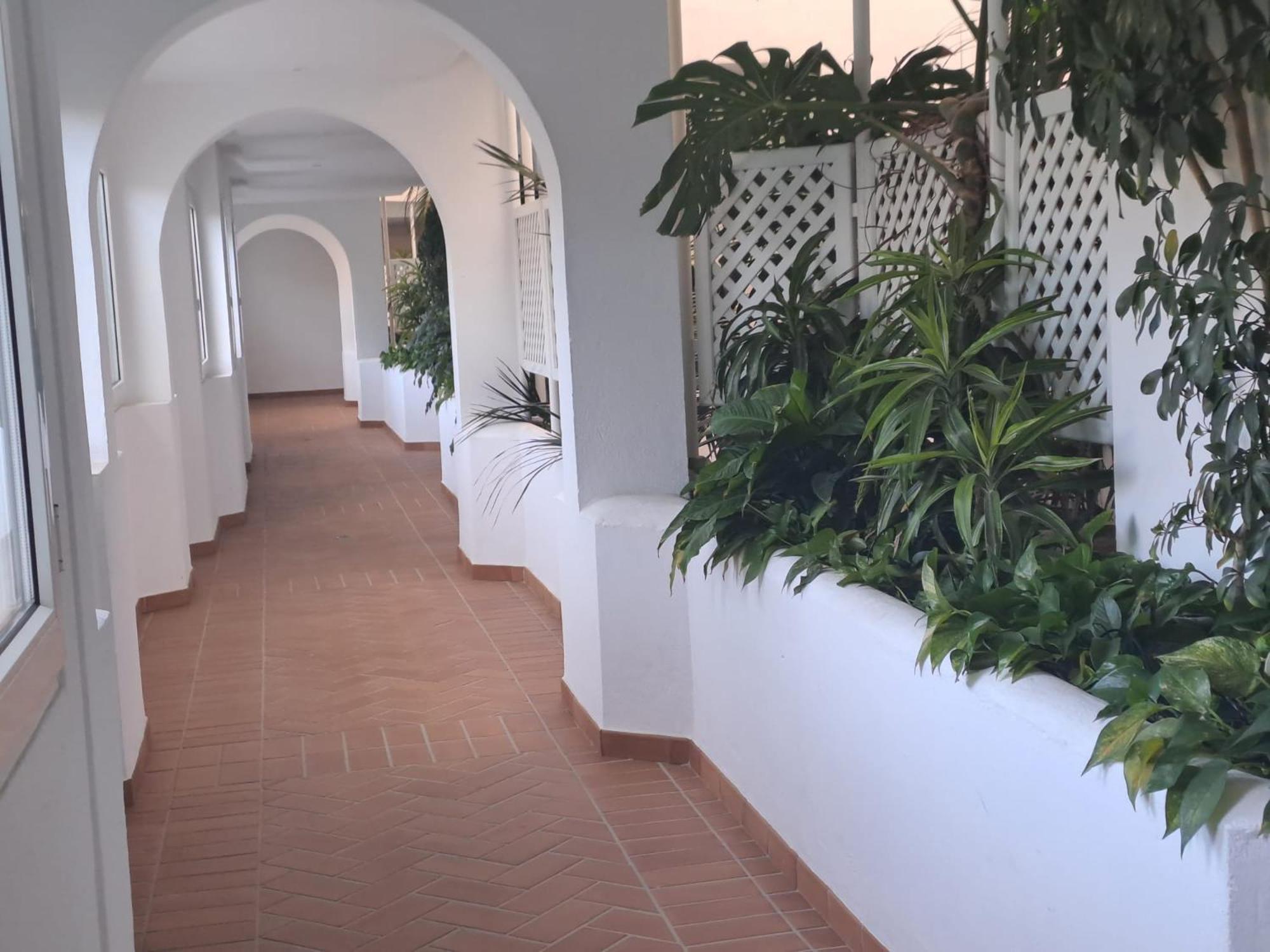 Luminous Apartment In Playas Del Duque , Puerto Banus By Holidays & Home マルベーリャ エクステリア 写真